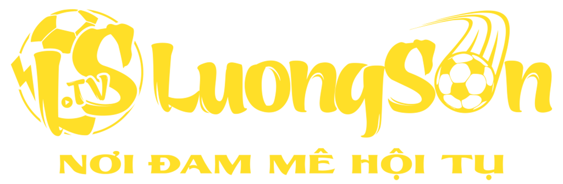 Logo lương sơn tv