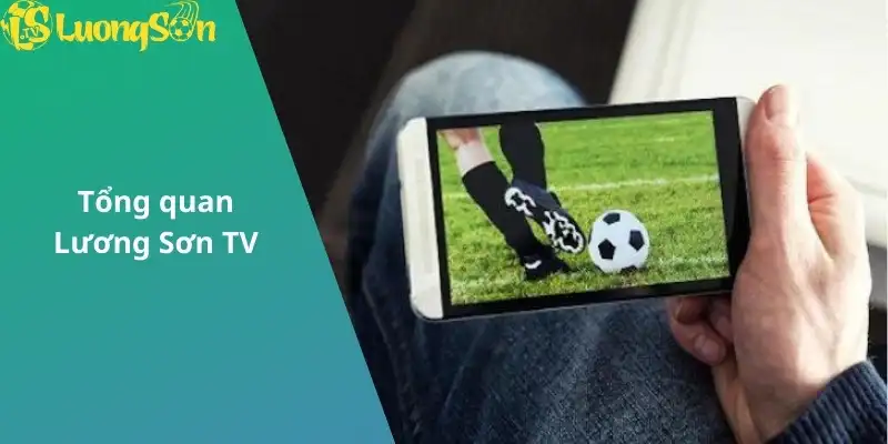 Tổng quan lương sơn tv
